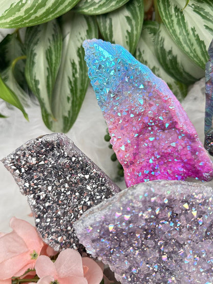 Standing Aura Quartz Clusters
