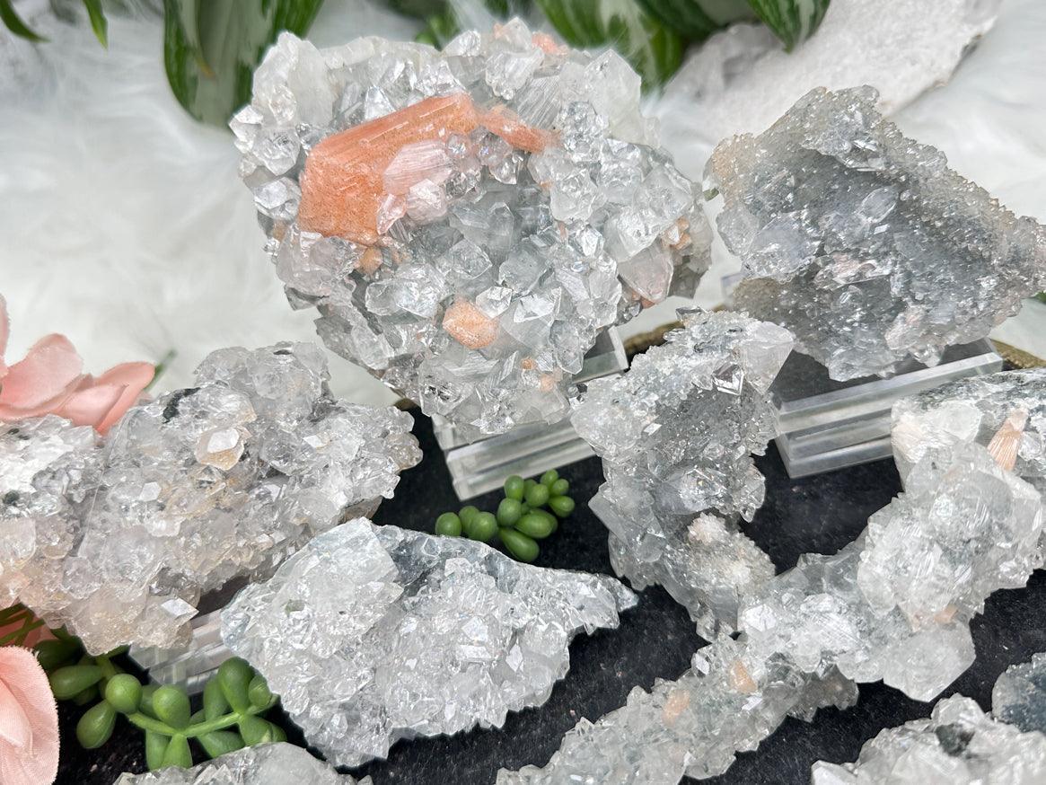 Higher End Gray Apophyllite