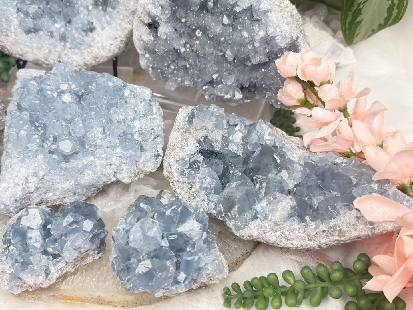 Blue Celestite Clusters