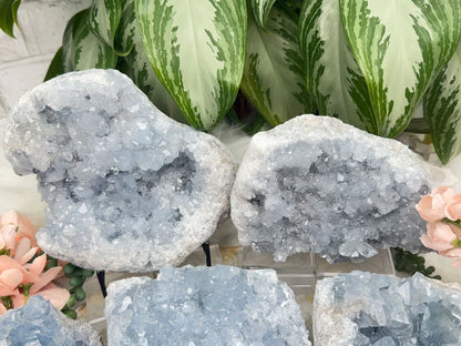 Blue Celestite Clusters