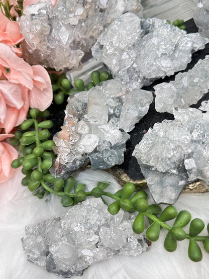 Higher End Gray Apophyllite