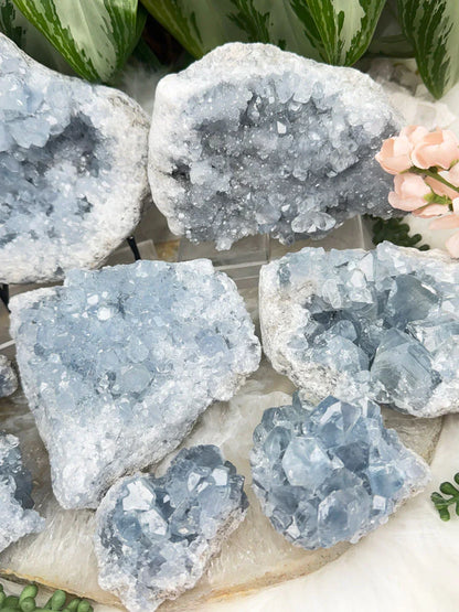 Blue Celestite Clusters
