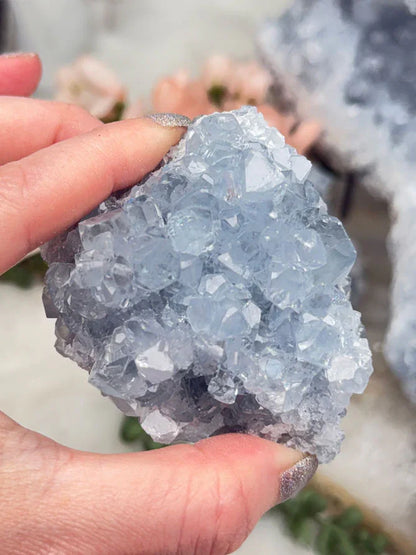 Blue Celestite Clusters