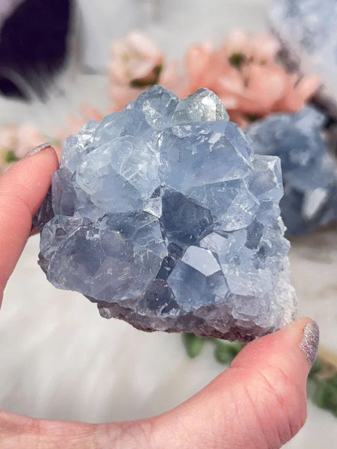 Blue Celestite Clusters