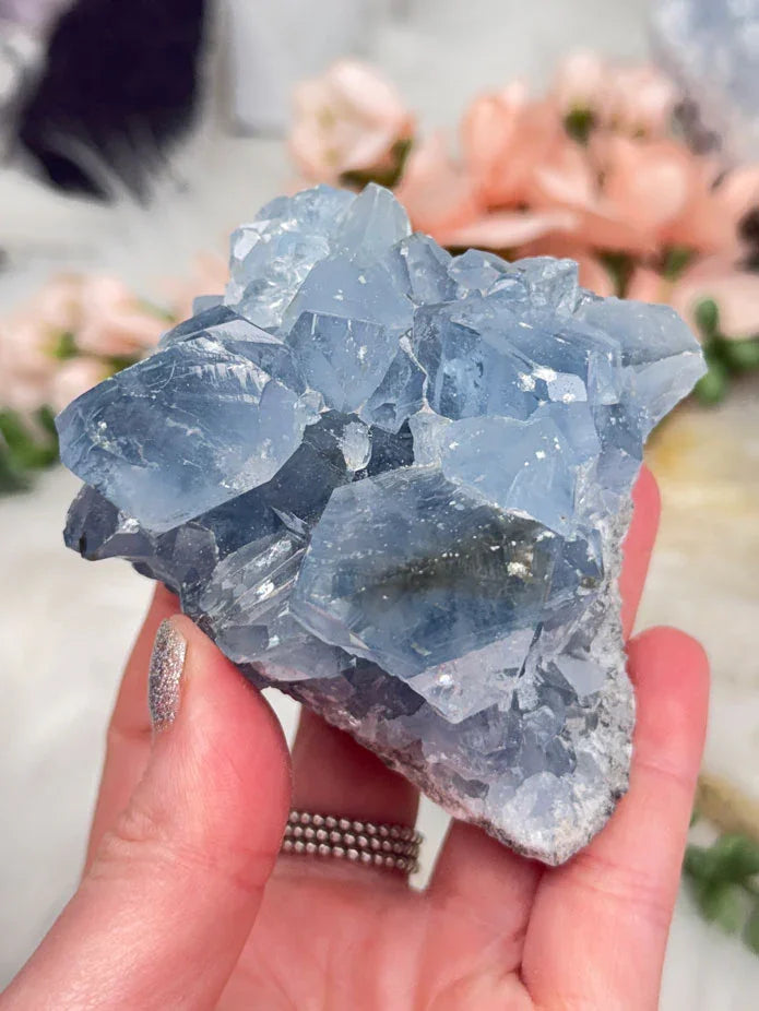 Blue Celestite Clusters