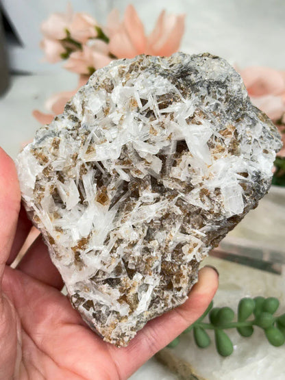 Brown Fluorite Celestite