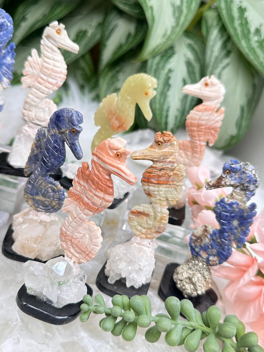 carved-seahorse-crystals