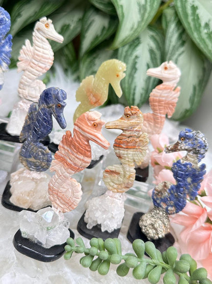 carved-seahorse-crystals