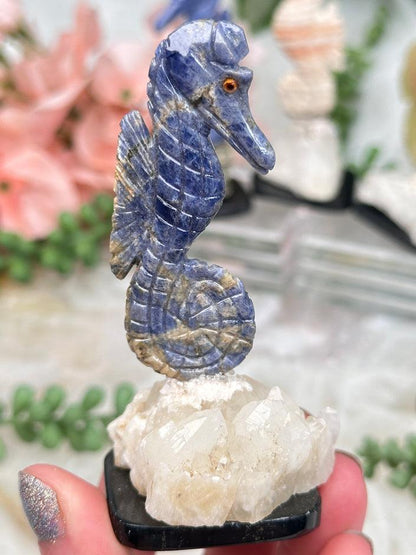 Seahorse Crystals