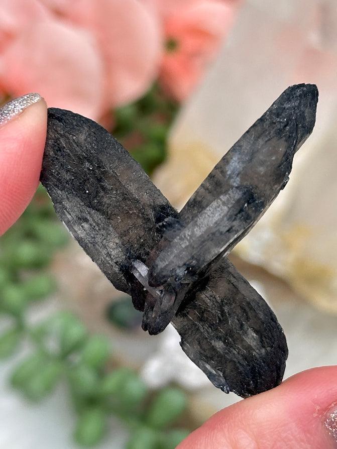Namibia Quartz Small Specimens