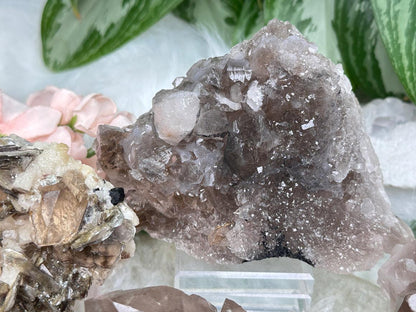 Smoky Quartz Cluster Crystals