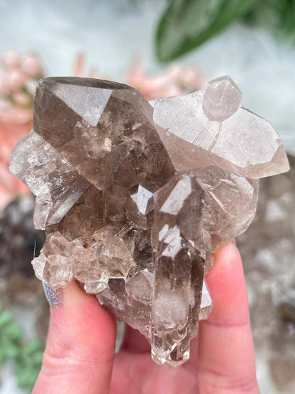 Smoky Quartz Cluster Crystals