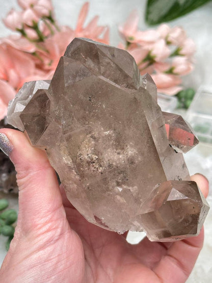 Smoky Quartz Cluster Crystals
