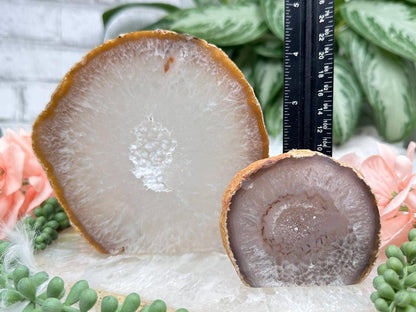 Standing Natural Geode Slices