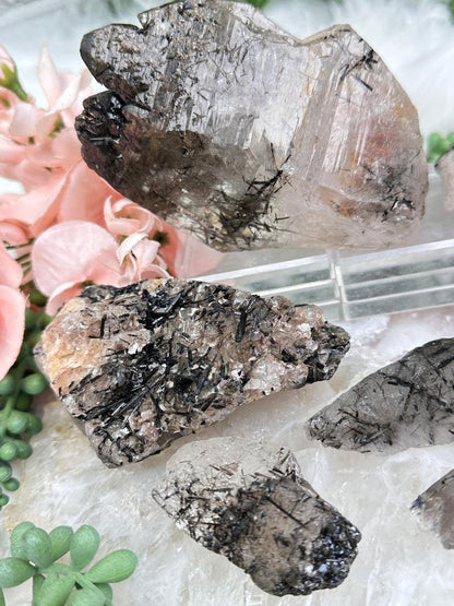 Black Tourmaline in Quartz