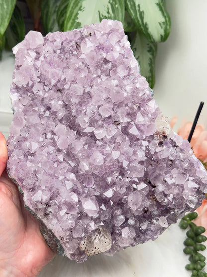 Unique Amethyst Crystal Clusters