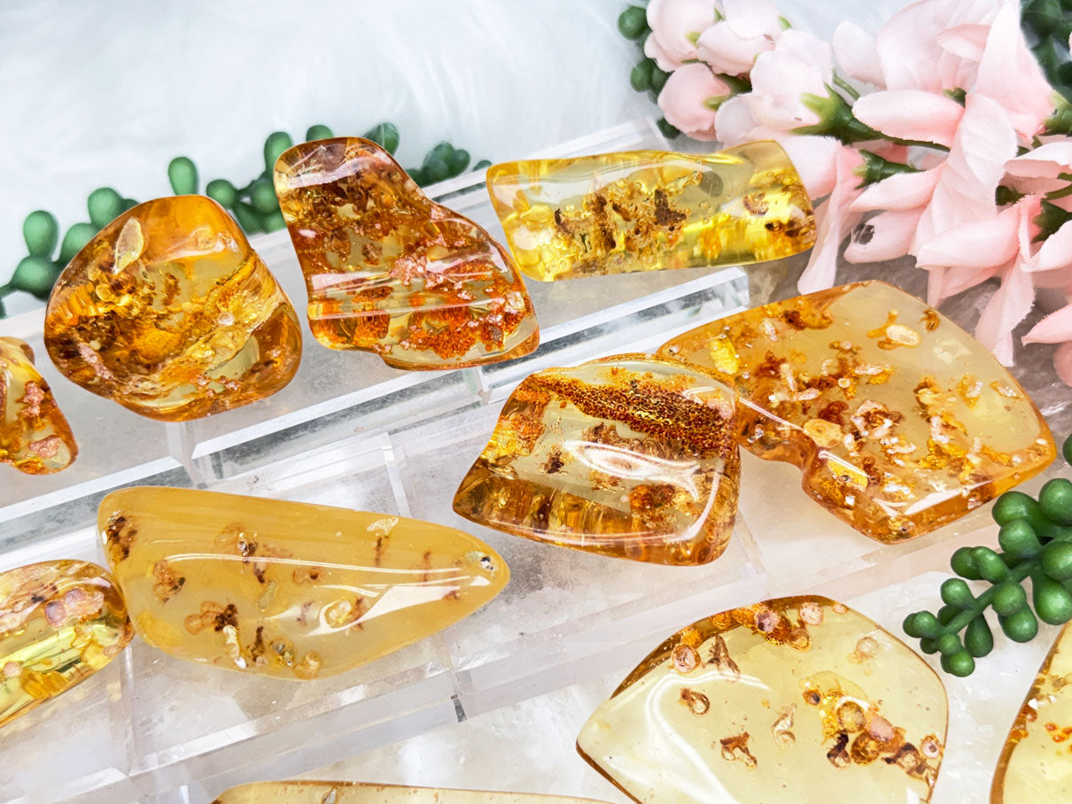 Colombian Amber with Insects