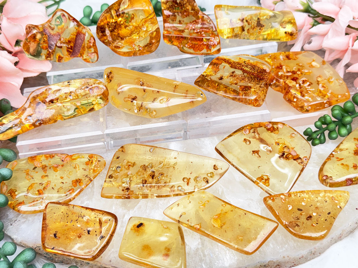 Colombian Amber with Insects