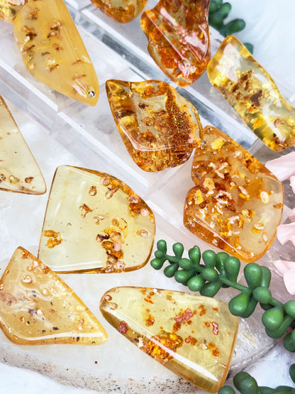 Colombian Amber with Insects