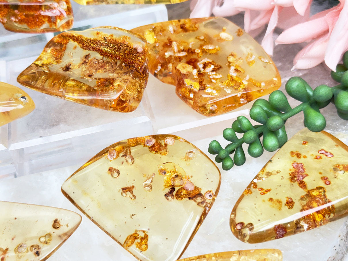 Colombian Amber with Insects