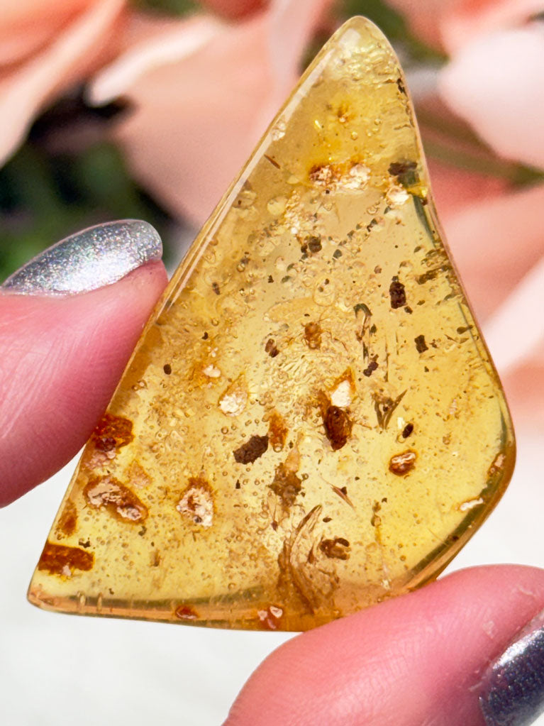 Colombian Amber with Insects