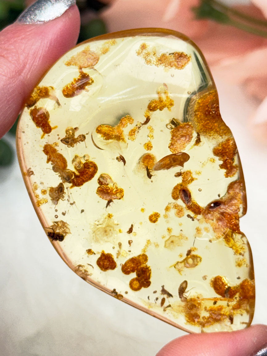 colombian-amber-with-insects-inside