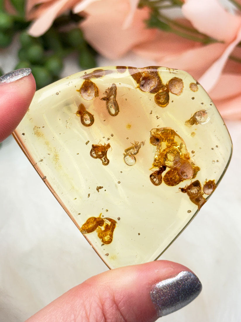 Colombian Amber with Insects