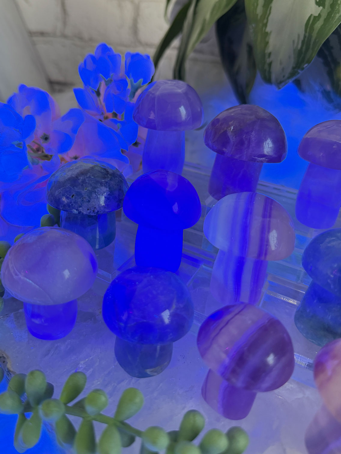 Fluorite Crystal Mushrooms