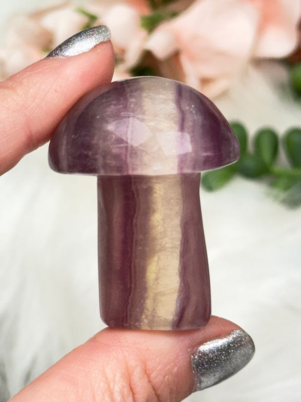 Fluorite Crystal Mushrooms