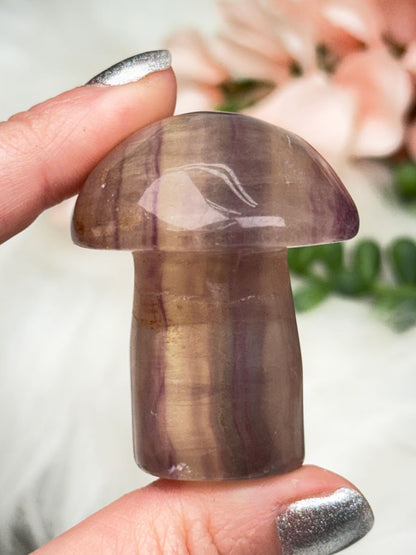 purple-green-fluorite-mushroom