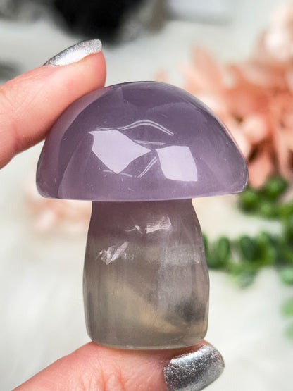 Fluorite Crystal Mushrooms