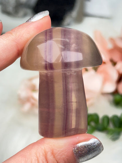 Fluorite Crystal Mushrooms