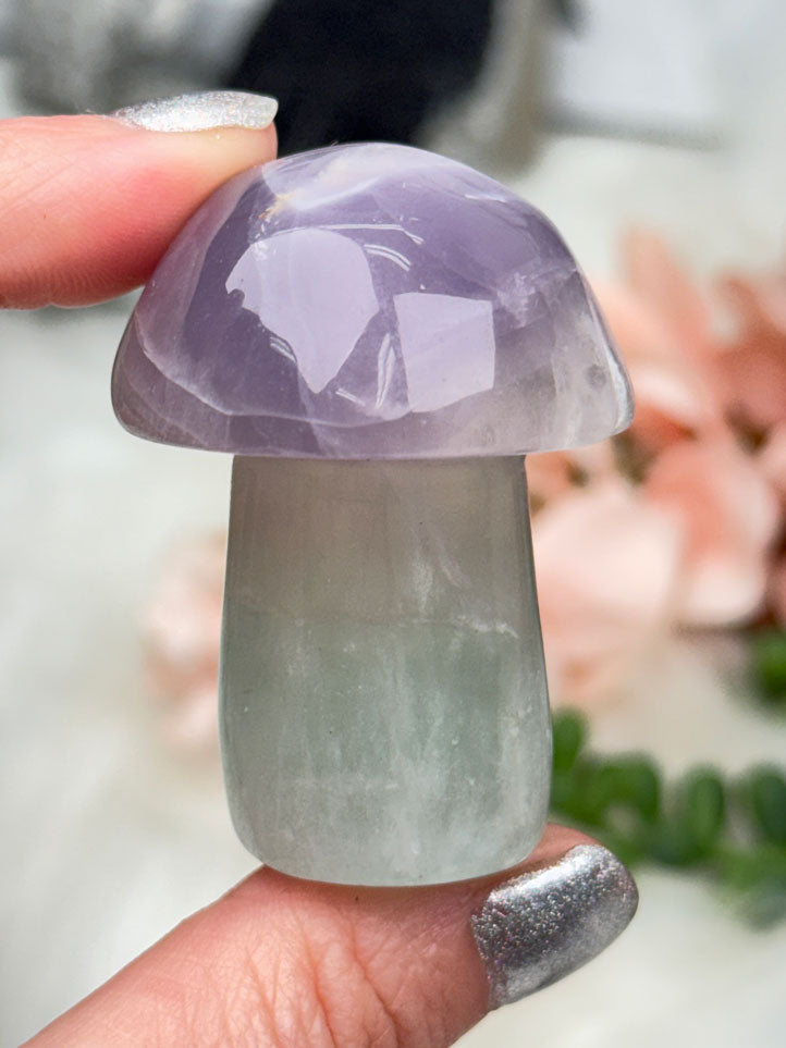 Fluorite Crystal Mushrooms