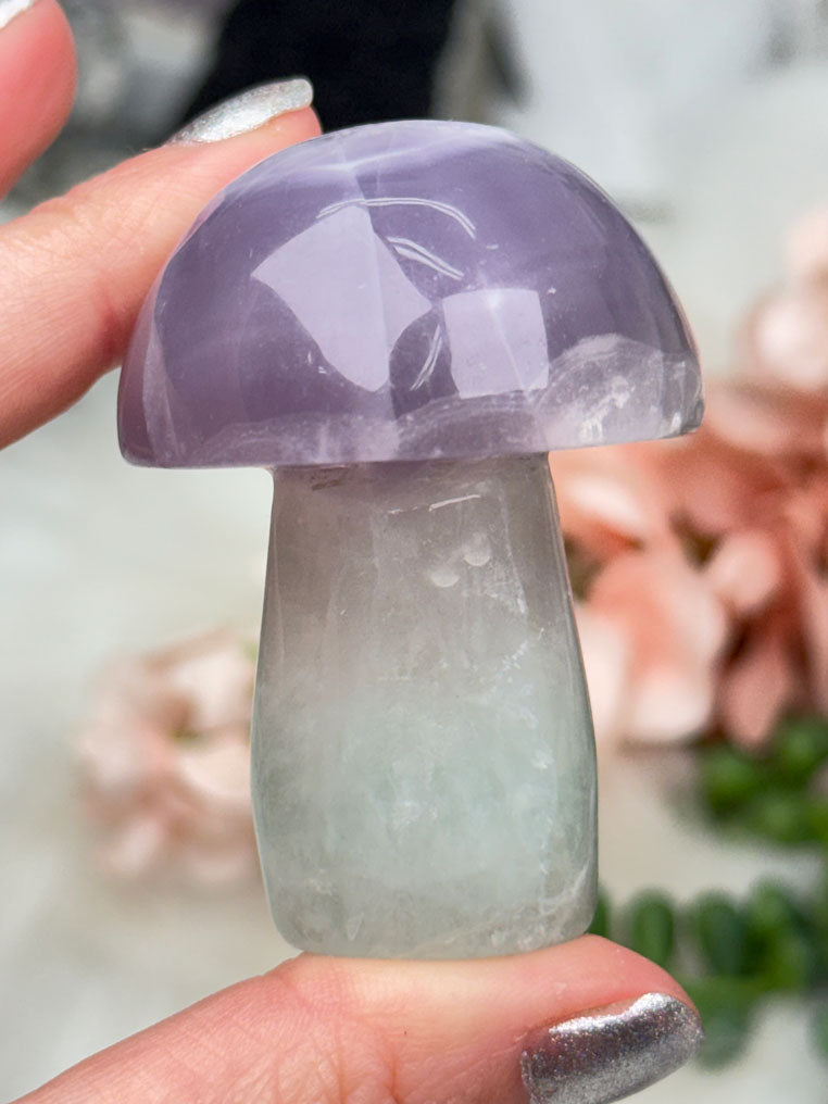 Fluorite Crystal Mushrooms