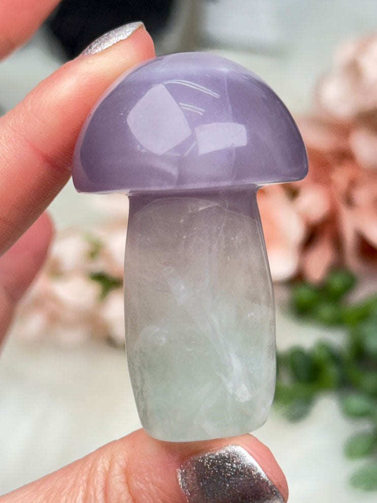Fluorite Crystal Mushrooms