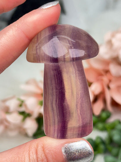 purple-fluorite-mushroom