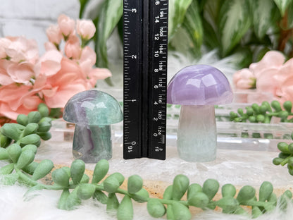 Fluorite Crystal Mushrooms