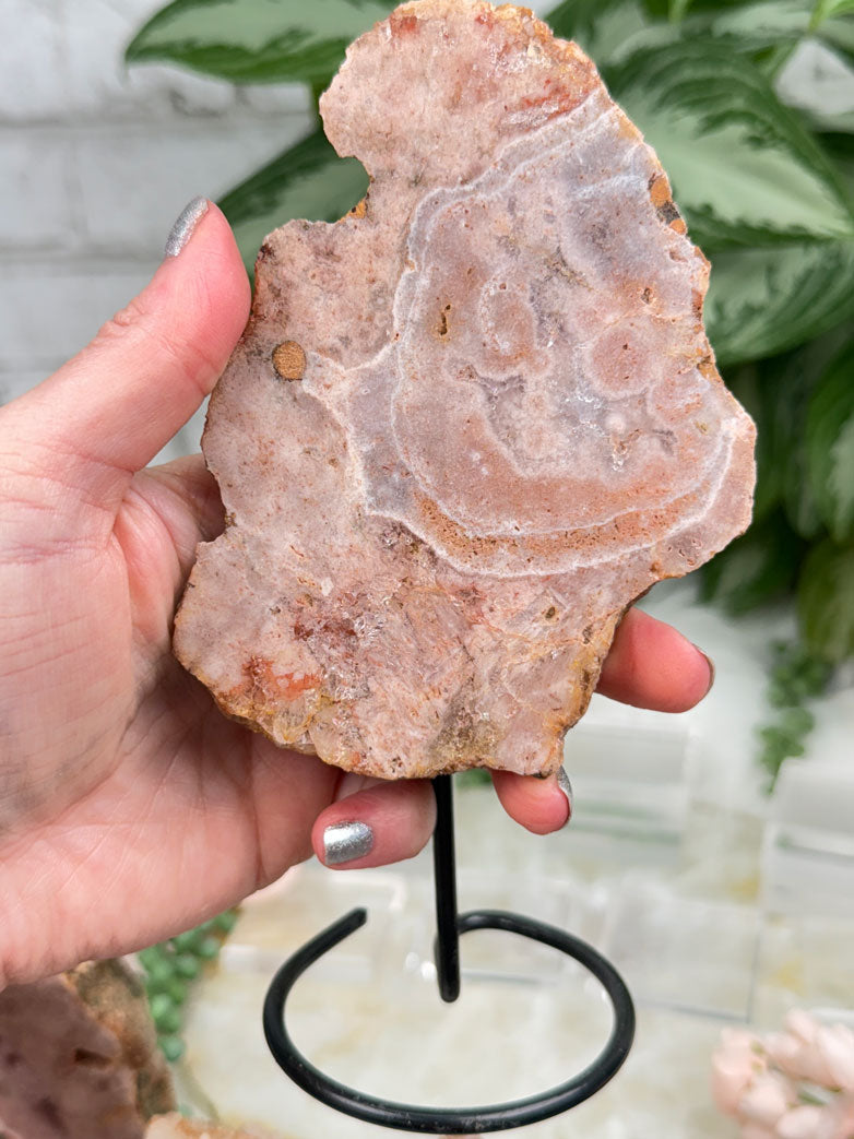 Brazil Pink Amethyst on Stands