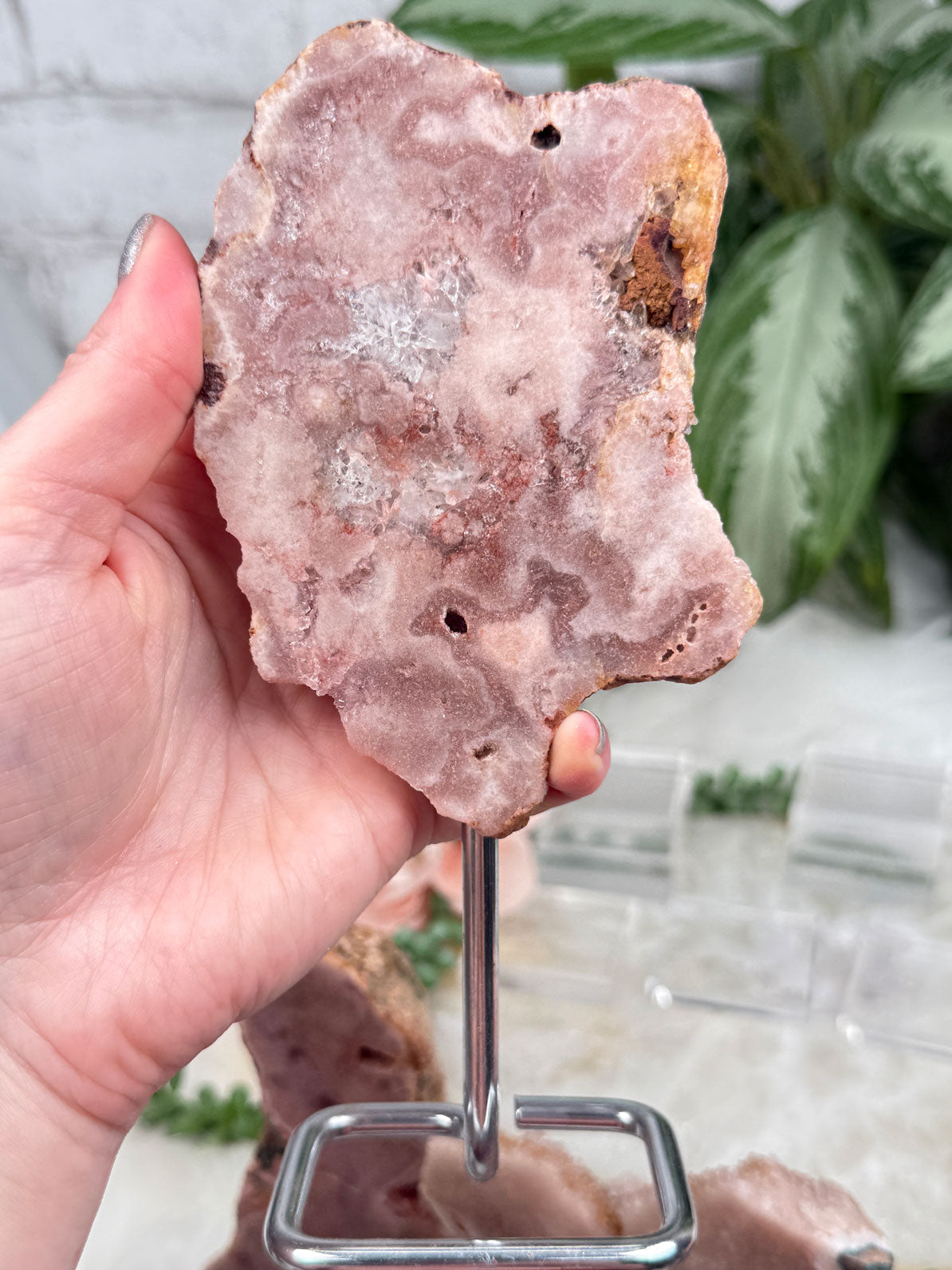 Brazil Pink Amethyst on Stands