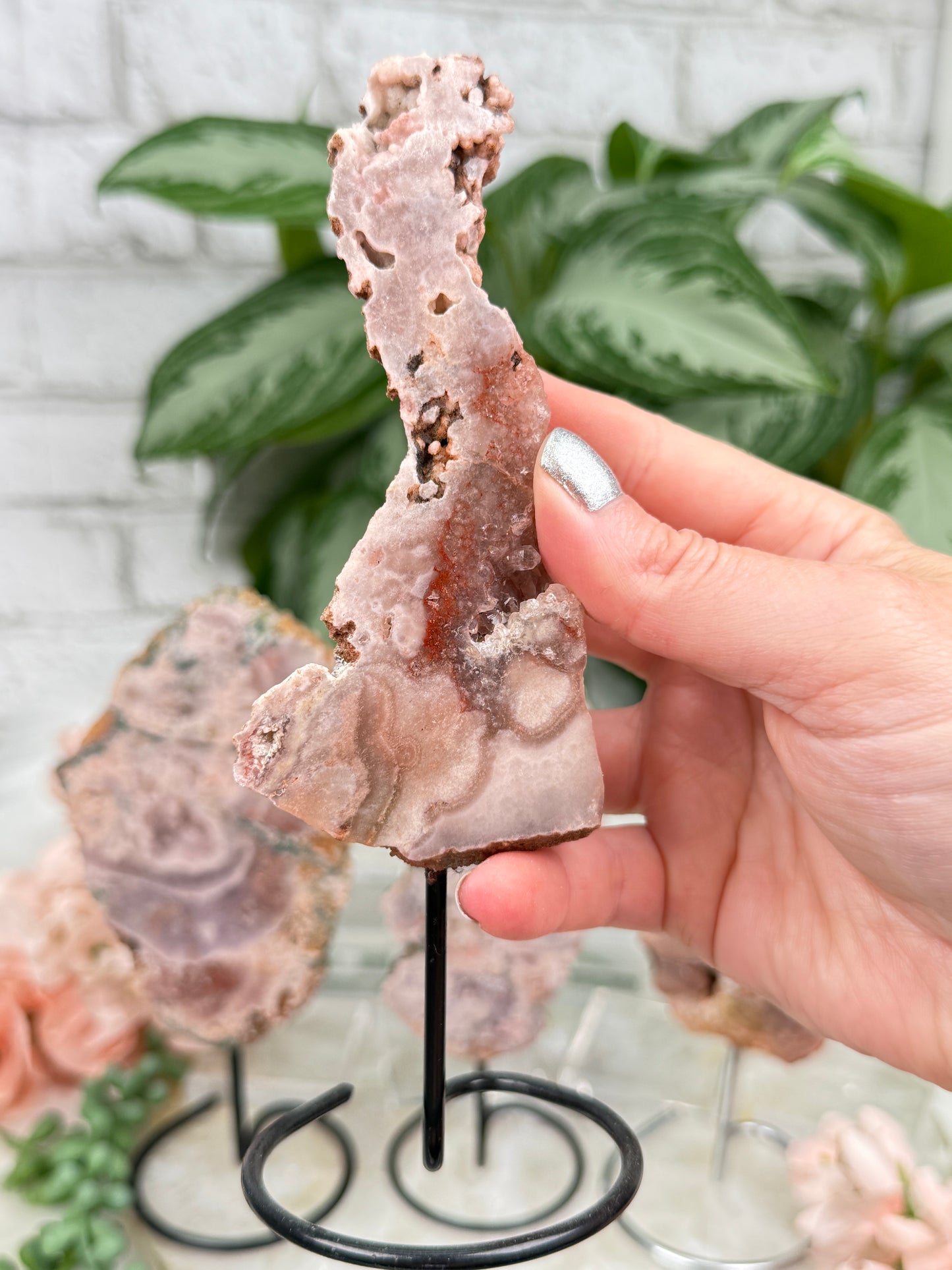 Brazil Pink Amethyst on Stands