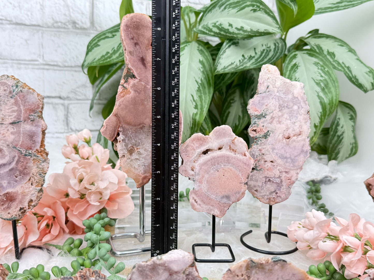 Brazil Pink Amethyst on Stands