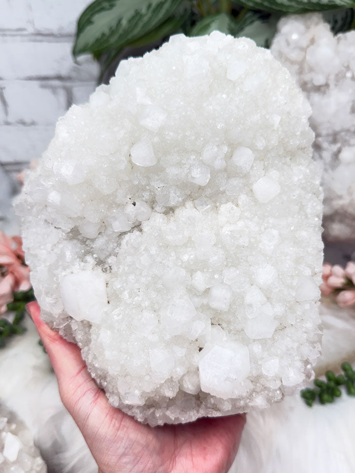 large-apophyllite-and-zeolite-crystals