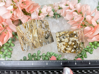 orbicular-ocean-jasper-angle-cubes