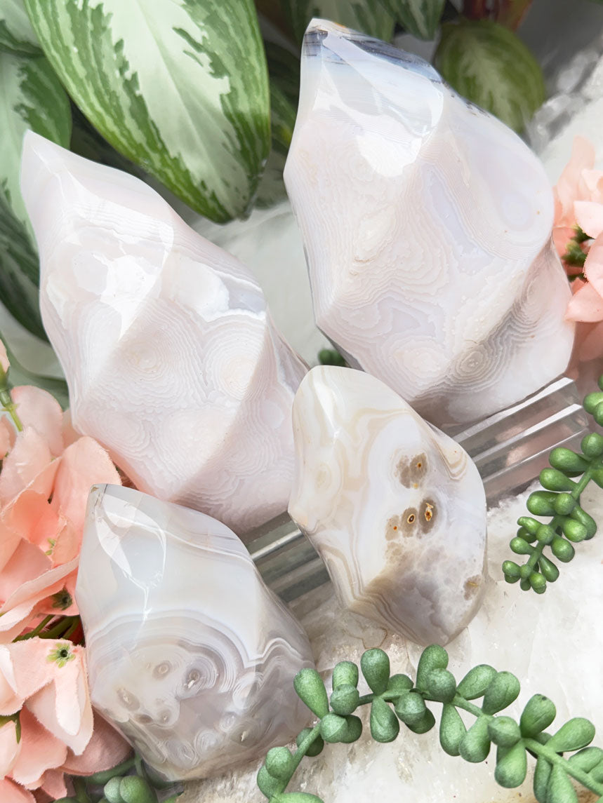 flower-pattern-madagascar-agate