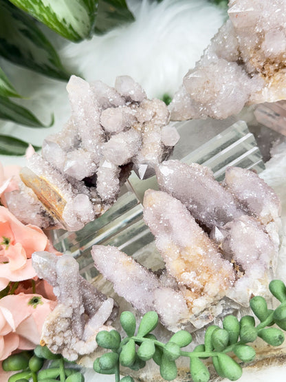 white-spirit-quartz-crystals-for-sale