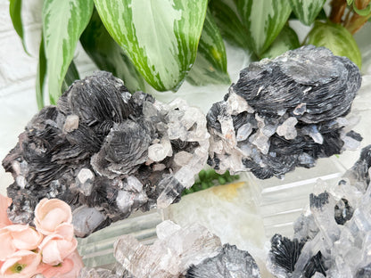 rare-hematite-rose-clear-quartz-crystal-clusters