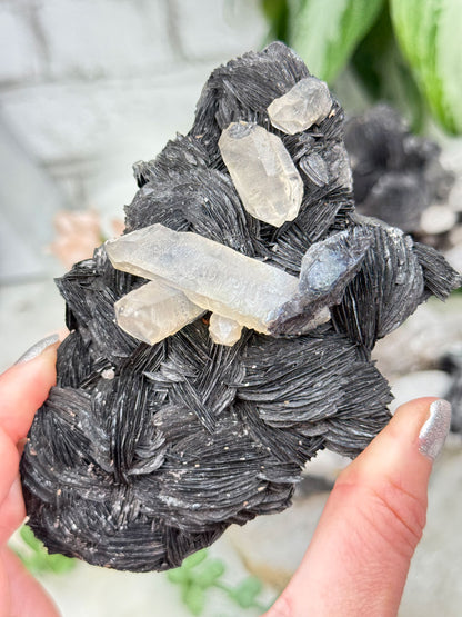Hematite Rose & Quartz Clusters