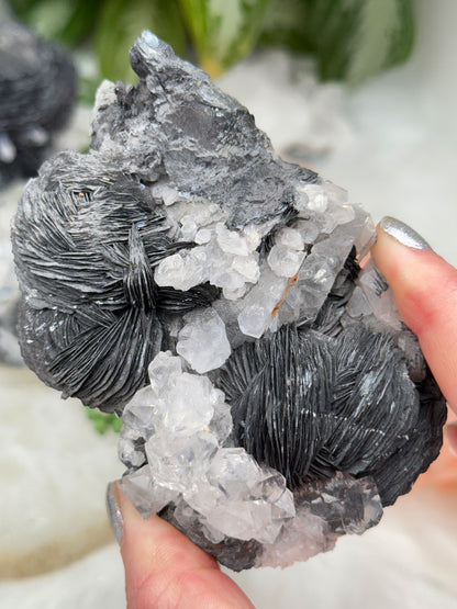 Hematite Rose & Quartz Clusters