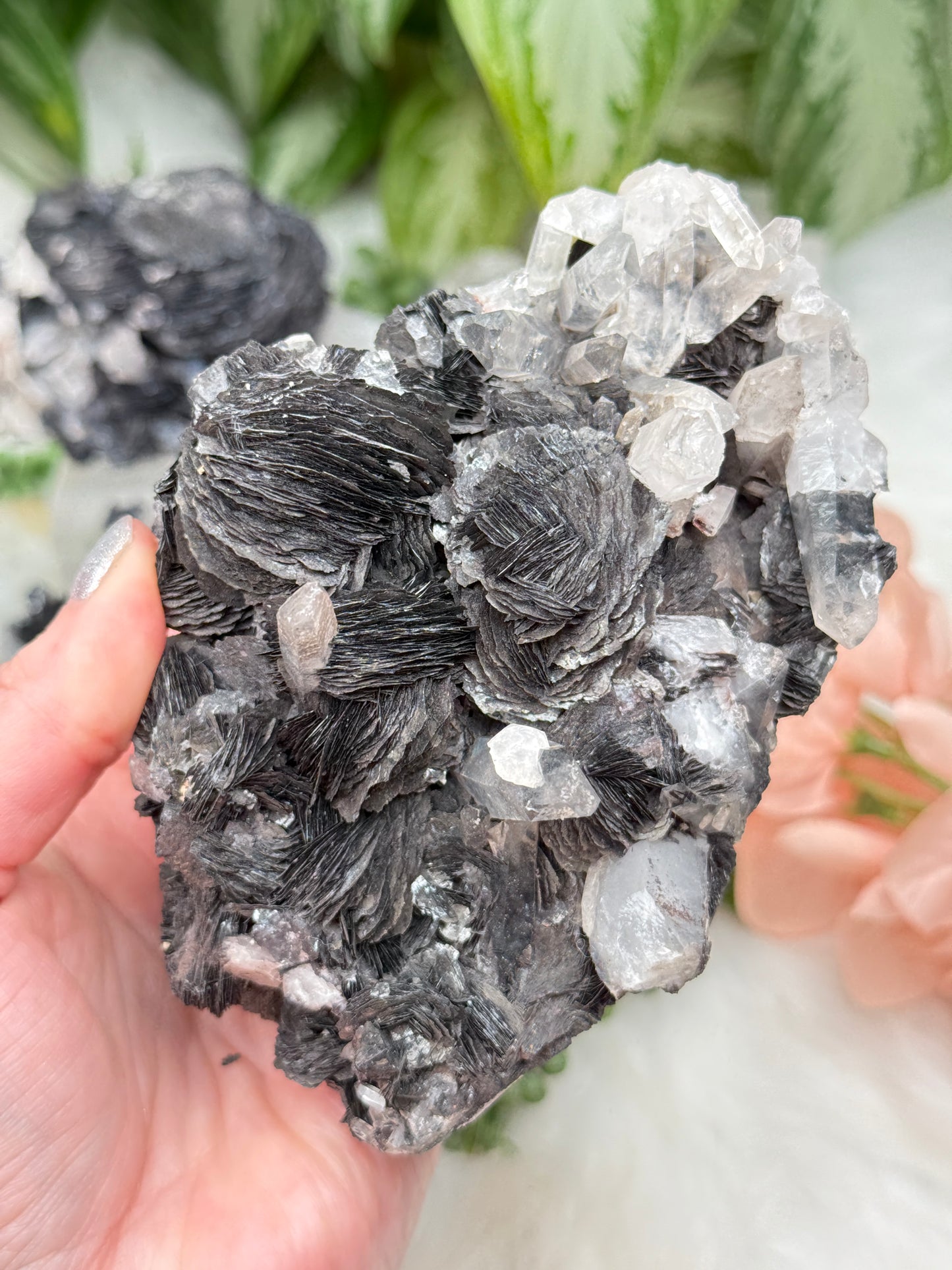 Hematite Rose & Quartz Clusters