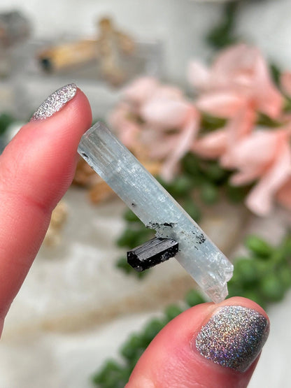 Namibia Aquamarine & Beryl